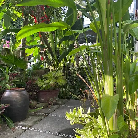 Ferienwohnung Hoi An Sunny Garden Exterior foto