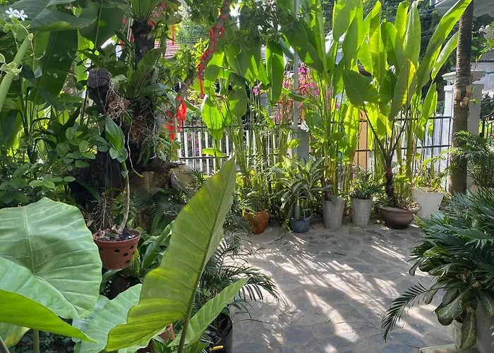 Hoi An Sunny Garden