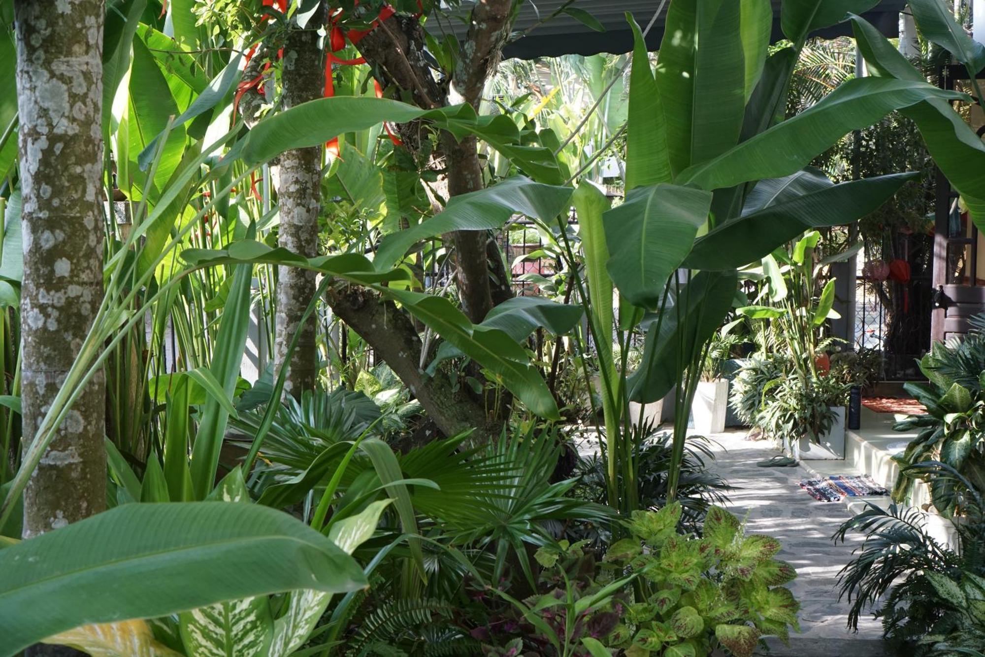 Sunny Garden
