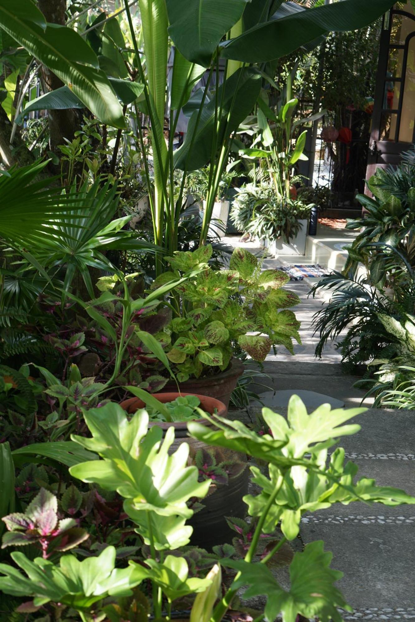 Sunny Garden * Хойан