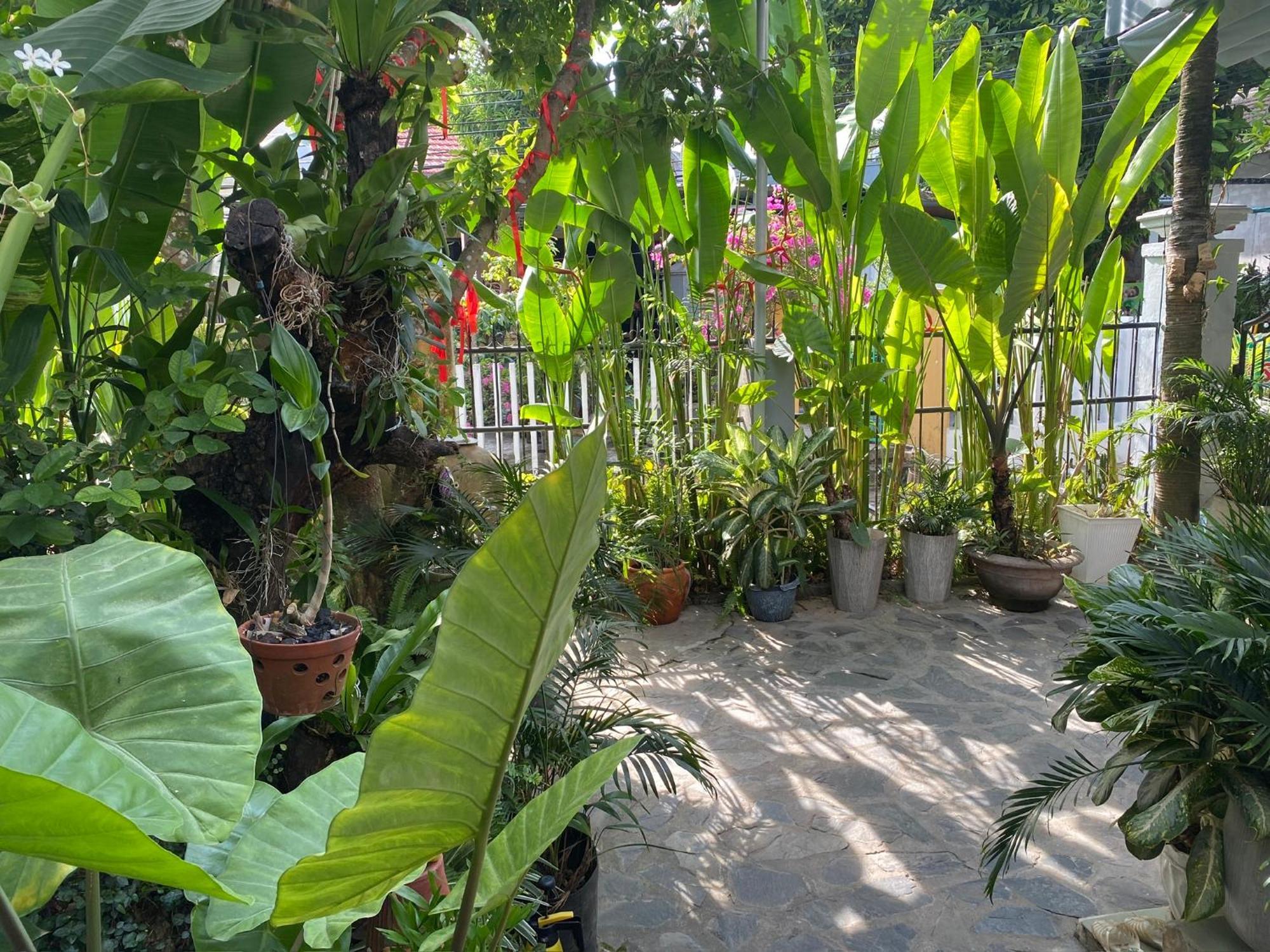Проживание в семье Sunny Garden
