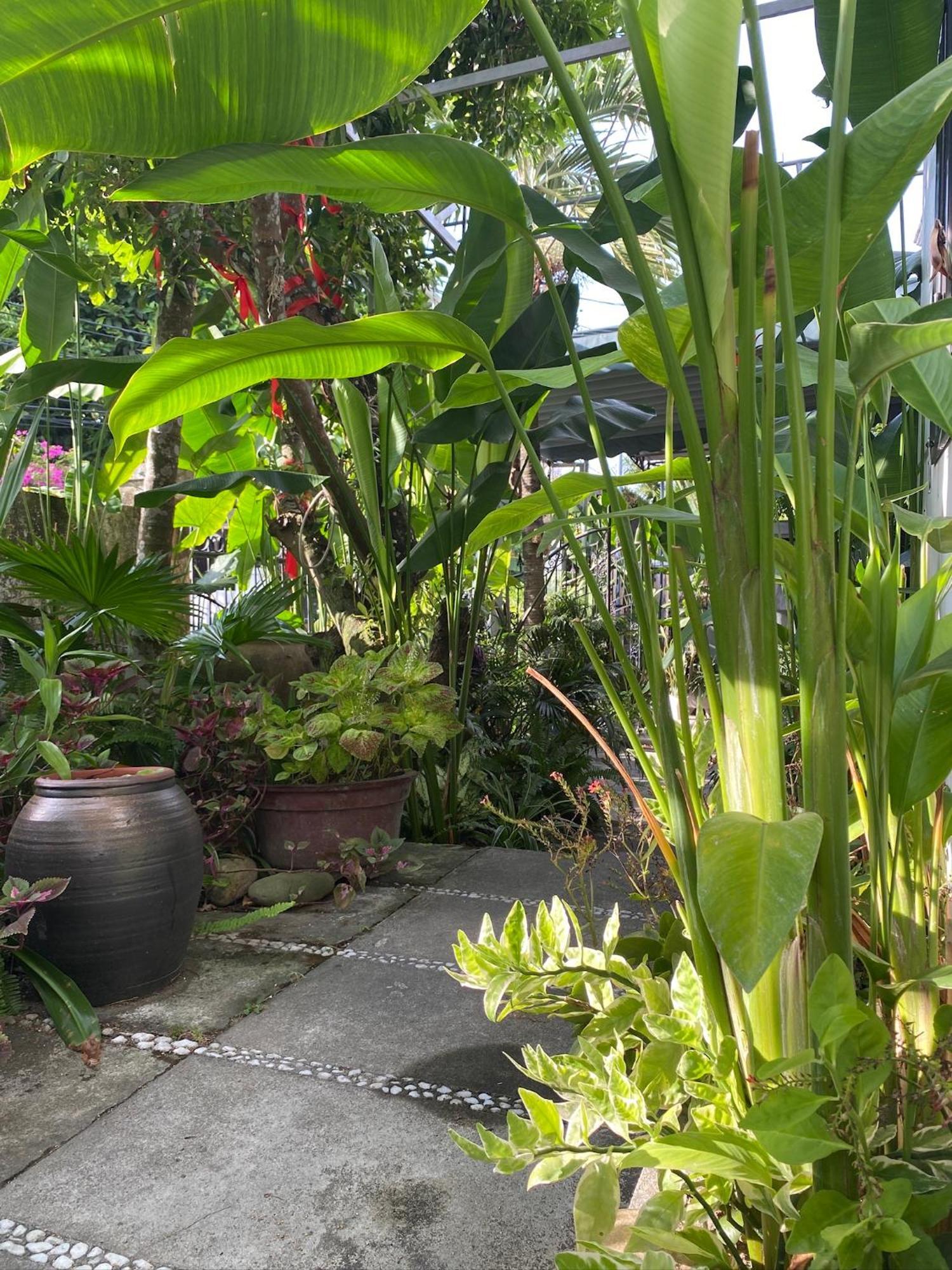 Sunny Garden Проживание в семье