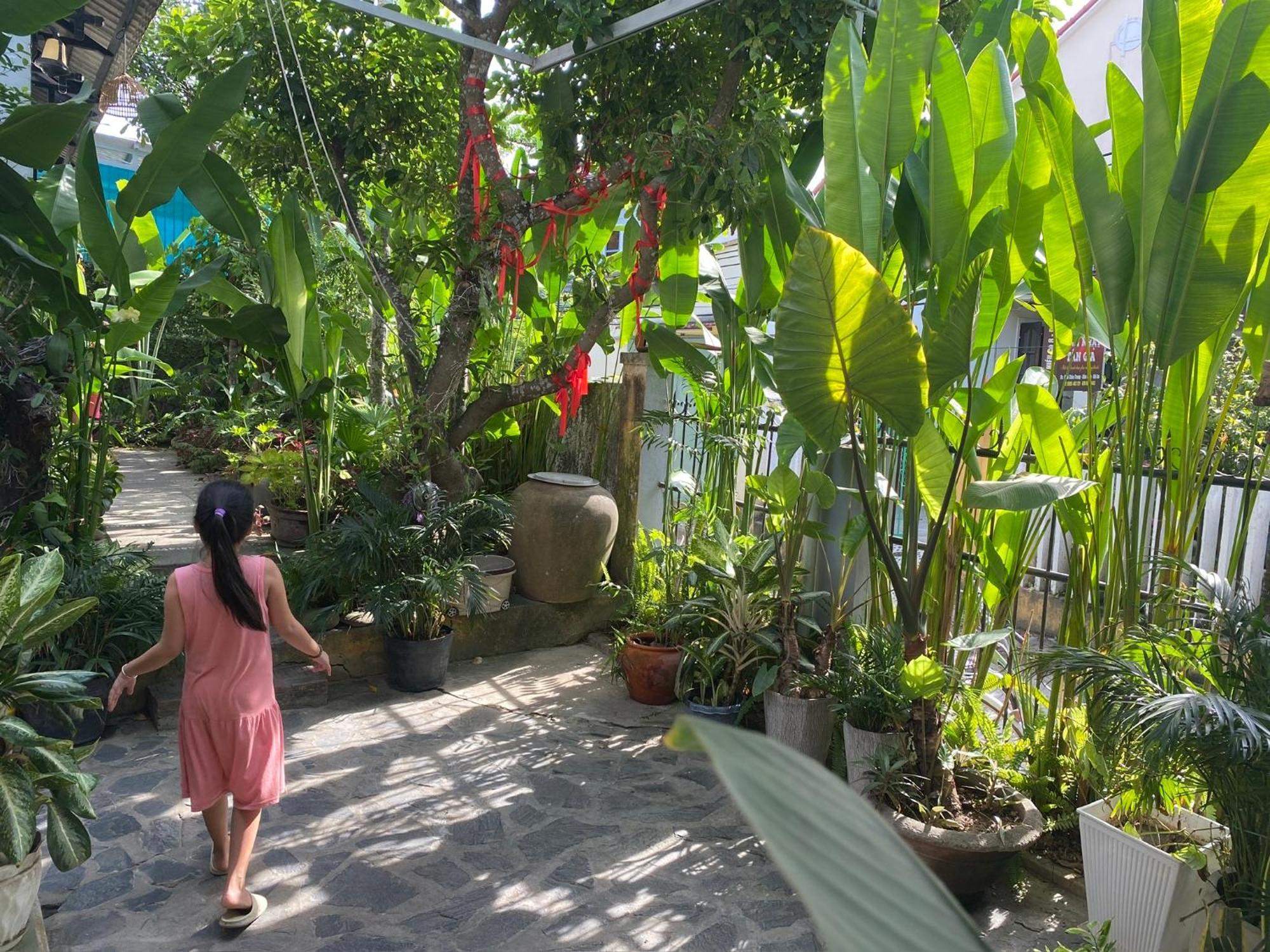 Проживание в семье Sunny Garden Хойан